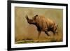 Brontotherium, a Family of Extinct Mammals-null-Framed Art Print