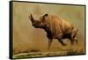 Brontotherium, a Family of Extinct Mammals-null-Framed Stretched Canvas