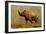 Brontotherium, a Family of Extinct Mammals-null-Framed Art Print