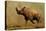 Brontotherium, a Family of Extinct Mammals-null-Stretched Canvas