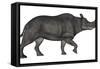 Brontotherium Isolated on White Background-Stocktrek Images-Framed Stretched Canvas