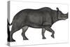 Brontotherium Isolated on White Background-Stocktrek Images-Stretched Canvas