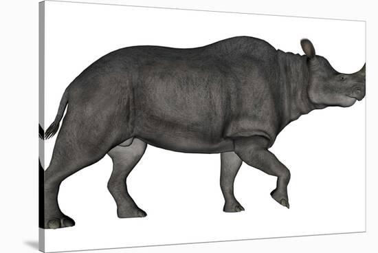 Brontotherium Isolated on White Background-Stocktrek Images-Stretched Canvas