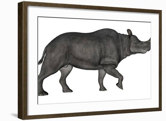 Brontotherium Isolated on White Background-Stocktrek Images-Framed Art Print