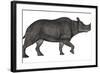 Brontotherium Isolated on White Background-Stocktrek Images-Framed Art Print