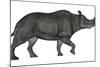Brontotherium Isolated on White Background-Stocktrek Images-Mounted Art Print