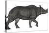 Brontotherium Isolated on White Background-Stocktrek Images-Stretched Canvas