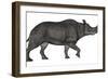 Brontotherium Isolated on White Background-Stocktrek Images-Framed Art Print