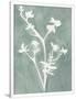 Gramercy White