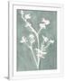 Gramercy White