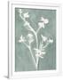 Gramercy White