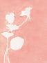 Laminate