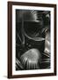 Bronx Botanical Garden, Bronx, New York, 1943-Brett Weston-Framed Photographic Print