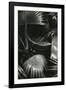 Bronx Botanical Garden, Bronx, New York, 1943-Brett Weston-Framed Photographic Print