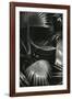 Bronx Botanical Garden, Bronx, New York, 1943-Brett Weston-Framed Photographic Print