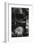 Bronx Botanical Garden, Bronx, New York, 1943-Brett Weston-Framed Photographic Print