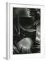 Bronx Botanical Garden, Bronx, New York, 1943-Brett Weston-Framed Premium Photographic Print