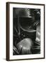 Bronx Botanical Garden, Bronx, New York, 1943-Brett Weston-Framed Premium Photographic Print