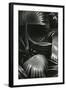 Bronx Botanical Garden, Bronx, New York, 1943-Brett Weston-Framed Premium Photographic Print