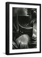 Bronx Botanical Garden, Bronx, New York, 1943-Brett Weston-Framed Photographic Print