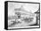 Bronx: Horse Race, 1866-null-Framed Stretched Canvas