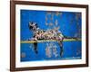 Bronx Zoo-Banksy-Framed Giclee Print