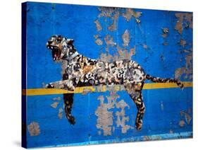 Bronx Zoo-Banksy-Stretched Canvas