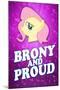 Brony and Proud Pony Poster-null-Mounted Poster