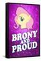 Brony and Proud Pony Poster-null-Framed Stretched Canvas