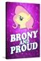 Brony and Proud Pony Poster-null-Stretched Canvas
