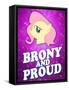 Brony and Proud Pony-null-Framed Stretched Canvas