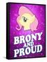 Brony and Proud Pony-null-Framed Stretched Canvas