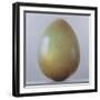 Bronze Age Egg-Lincoln Seligman-Framed Giclee Print