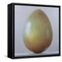 Bronze Age Egg-Lincoln Seligman-Framed Stretched Canvas