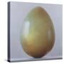 Bronze Age Egg-Lincoln Seligman-Stretched Canvas