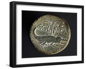 Bronze as Depicting Crocodile and Palm, from Nimes, France, Gallo-Roman Coins-null-Framed Giclee Print