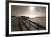 Bronze Beach I-Malcolm Sanders-Framed Giclee Print