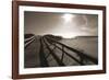 Bronze Beach I-Malcolm Sanders-Framed Giclee Print