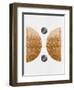 Bronze Blue Half Moons-Eline Isaksen-Framed Art Print