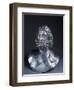 Bronze Bust of Jupiter Dolichenus-null-Framed Giclee Print