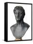 Bronze Bust of Seleucus I Nicator-null-Framed Stretched Canvas