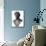 Bronze Bust of Seleucus I Nicator-null-Framed Photographic Print displayed on a wall