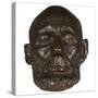 Bronze Cast of the 1865 Life Mask of Abraham Lincoln-null-Stretched Canvas