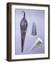 Bronze Dagger from Amorgos and Obsidian and Rock Cores from Paros and Amorgos, Greece-null-Framed Giclee Print