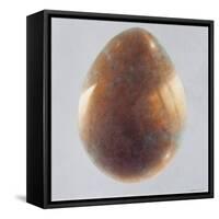 Bronze Egg, 2014-Lincoln Seligman-Framed Stretched Canvas