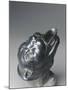 Bronze Fountain Spout Shaped as Lion's Head, from Ercolano-null-Mounted Giclee Print