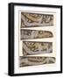 Bronze, Gold and Silver Daggers, 1921-Sir Arthur Evans-Framed Giclee Print