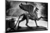 Bronze Griffin, Schloss Branitz, Cottbus, Brandenburg, Germany-Simon Marsden-Mounted Giclee Print