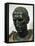 Bronze Head of Julius Caesar Bust-null-Framed Stretched Canvas