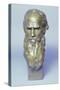 Bronze Head of Leo Tolstoy-null-Stretched Canvas